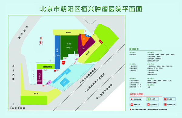 操的特别使劲的操逼网站北京市朝阳区桓兴肿瘤医院平面图